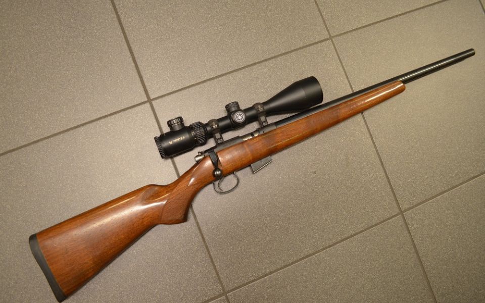 CZ 452 + Vortex