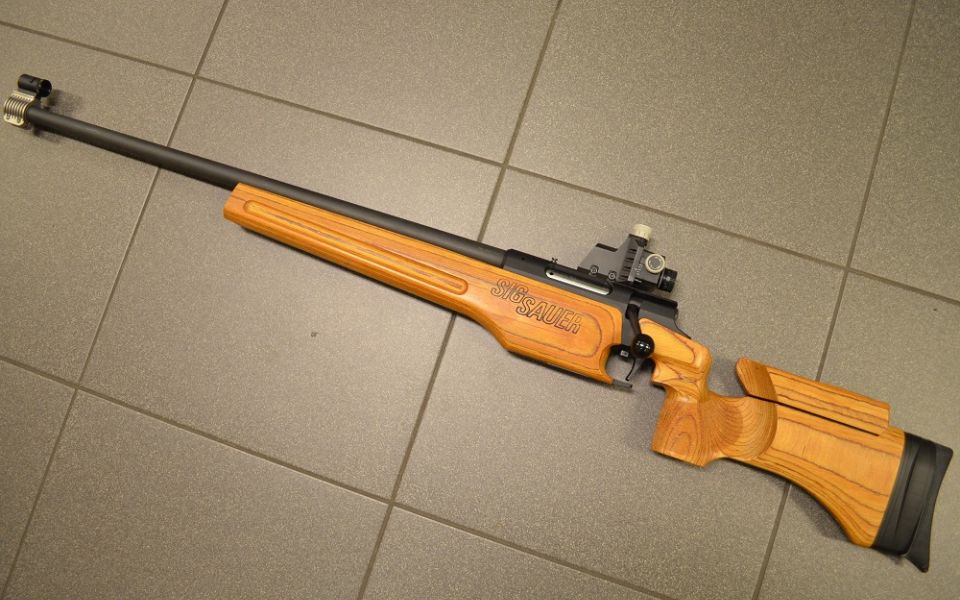 Sig-Sauer 205 Links